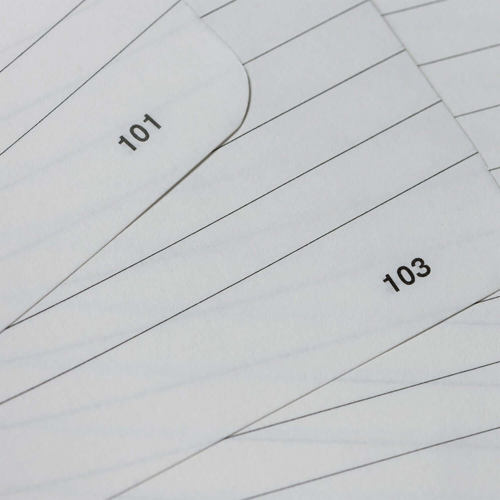 Endless Recorder Mountain Snow Regalia Notebook - A5, Ruled