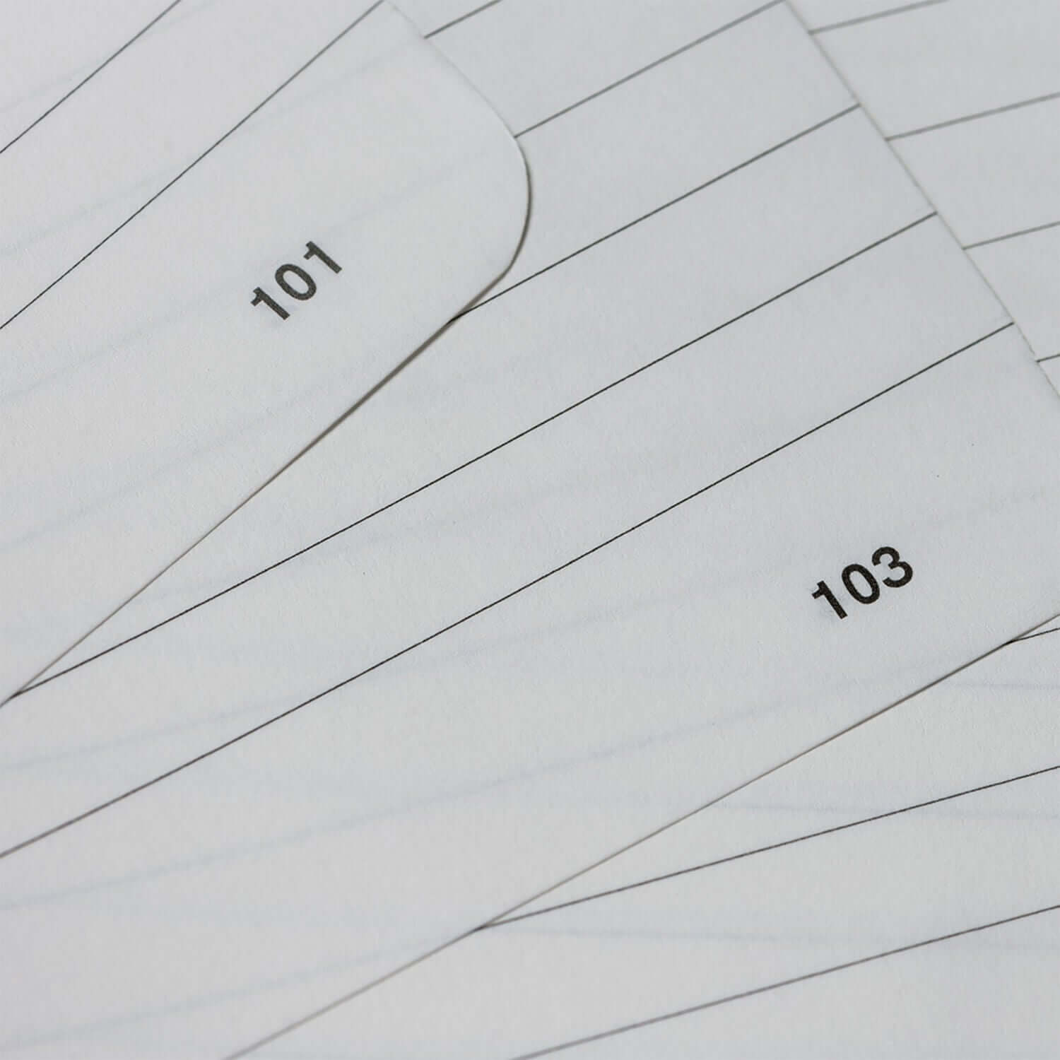 Endless Recorder Mountain Snow Regalia Notebook - A5, Ruled