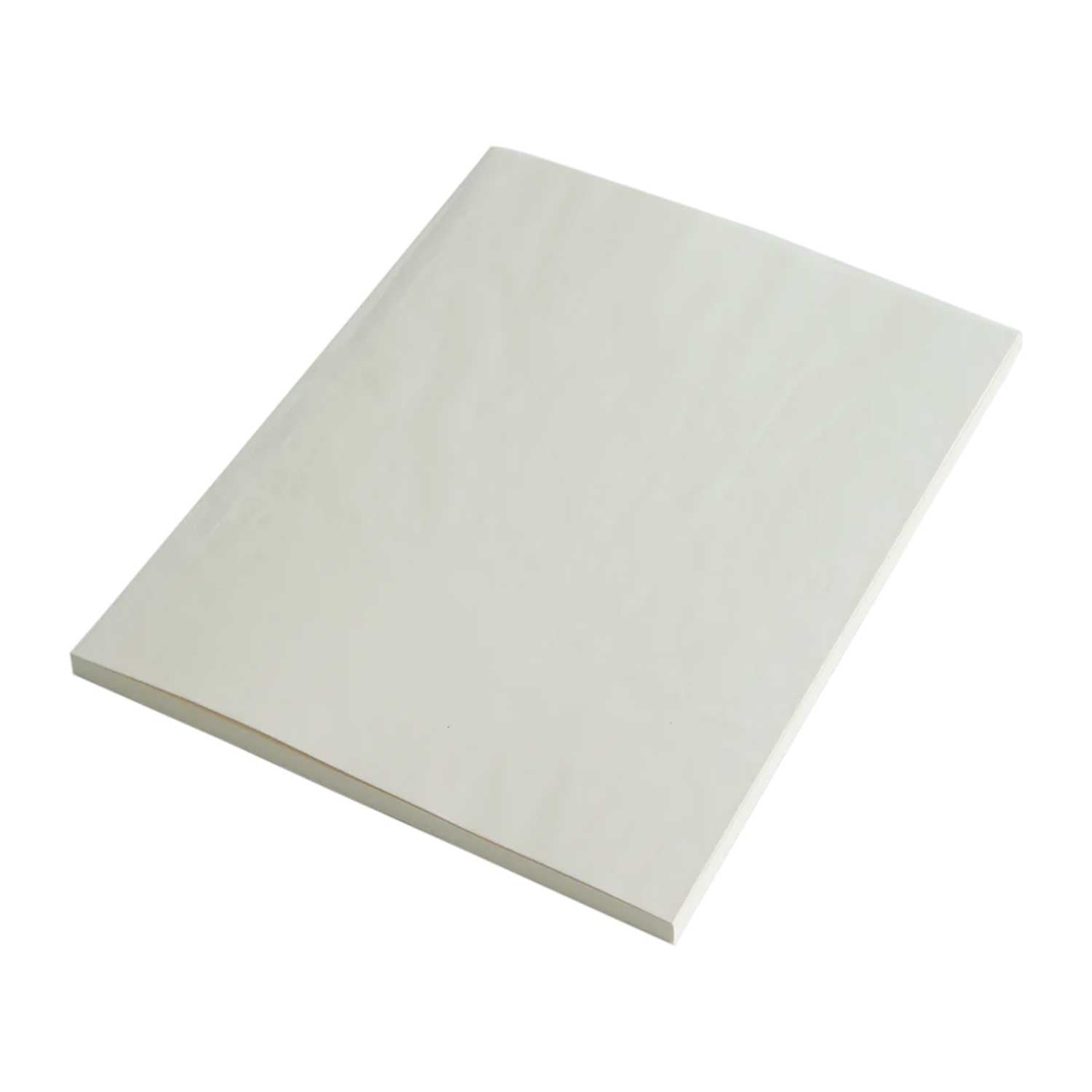 Midori MD Ivory Notebook - A4, Plain