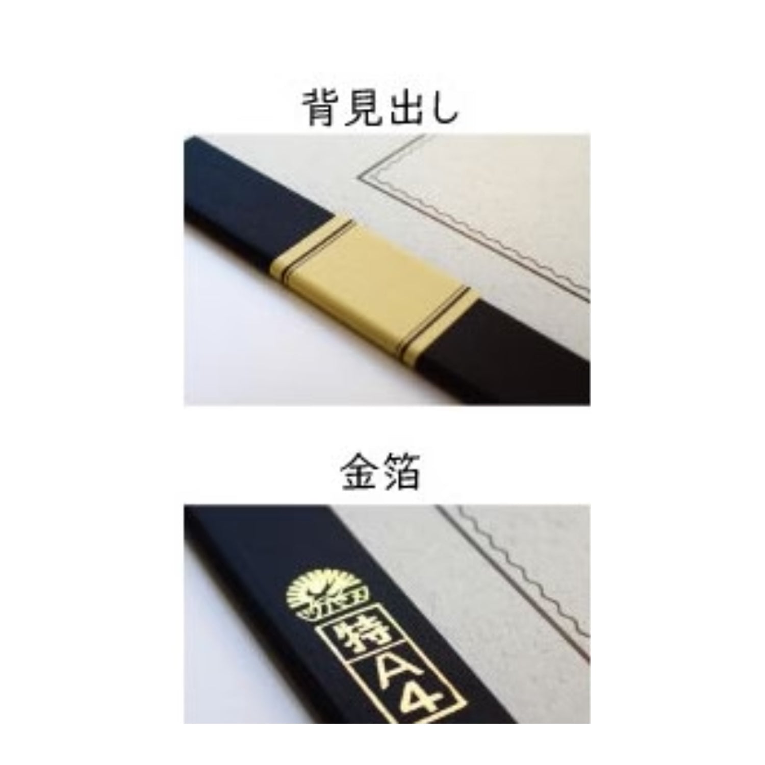 Tsubame A5001 White 8mm Line Notebook - A4+ - Ruled