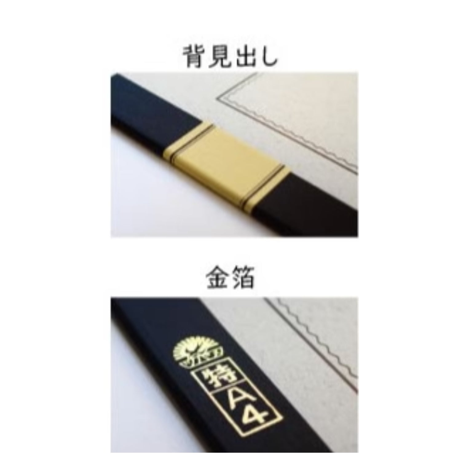 Tsubame A5004 White 8mm Line Notebook - A4+ - Ruled