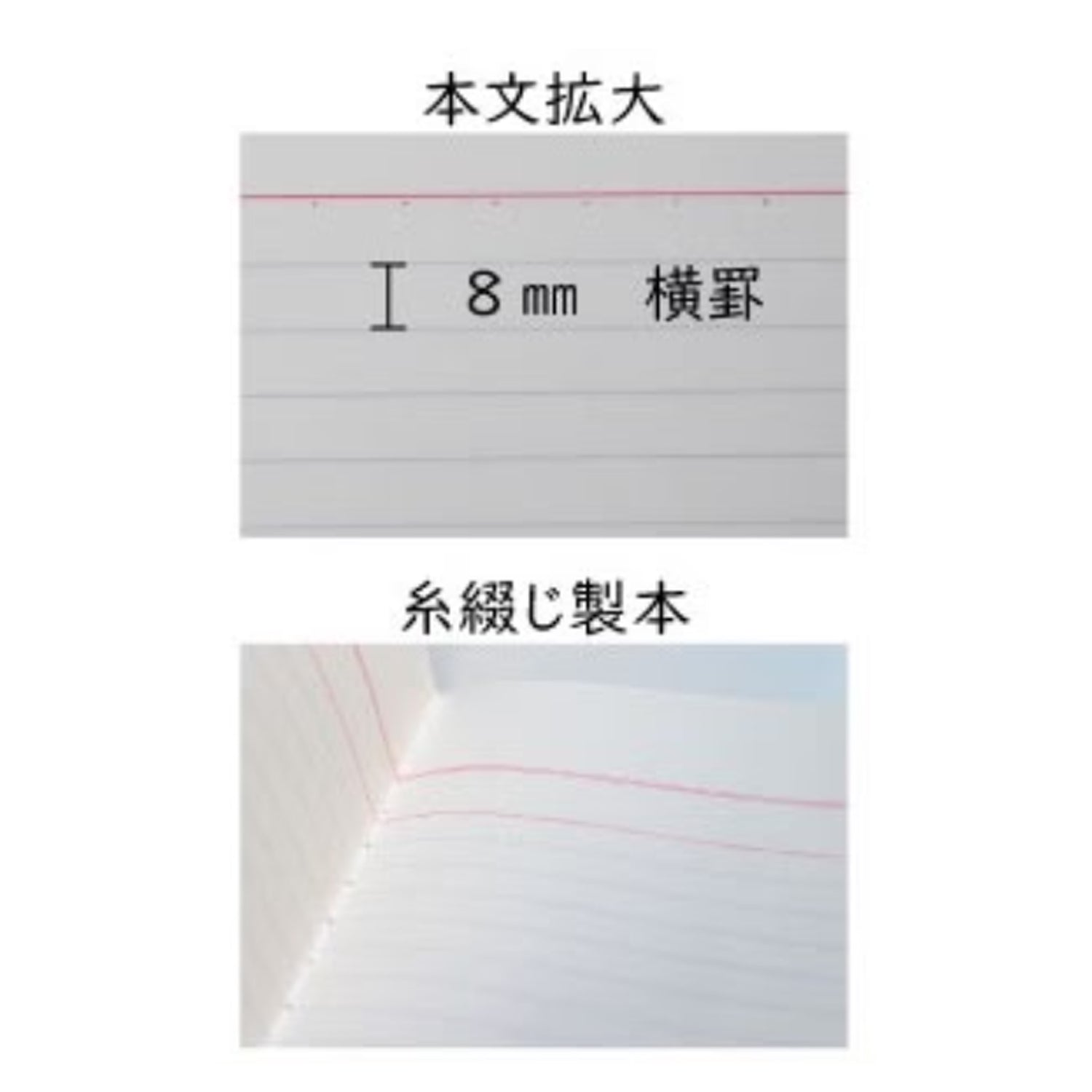Tsubame A5004 White 8mm Line Notebook - A4+ - Ruled