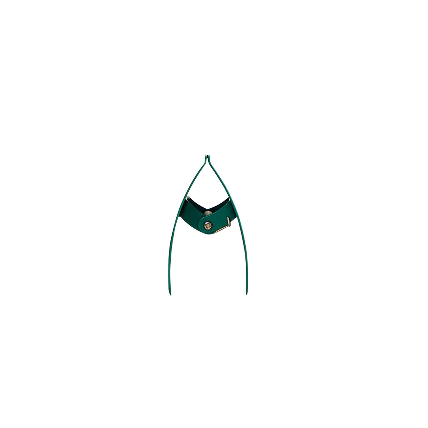 myPAPERCLIP Metal Paper Clip - Green